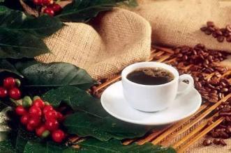 咖啡豆和咖啡粉哪个好 这些咖啡你爱喝哪个牌子?