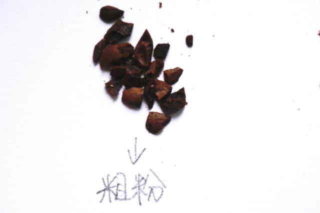 自己做现磨咖啡太难？一张图让你搞懂咖啡粉！