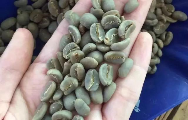 咖啡豆储存不当三大危害,如何判断咖啡粉的新鲜度?