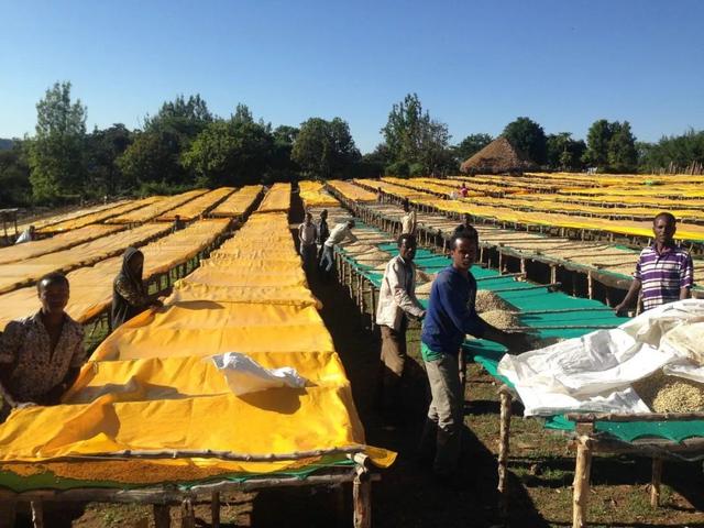 咖啡豆储存不当三大危害,如何判断咖啡粉的新鲜度?