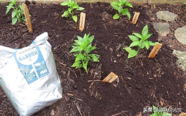 咖啡粉能做这10个惊人事情,不可思议让人着迷