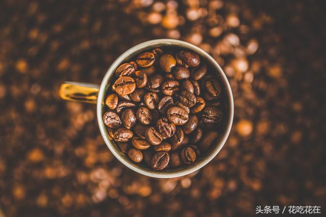 想在家里做咖啡到底是买咖啡豆还是咖啡粉？