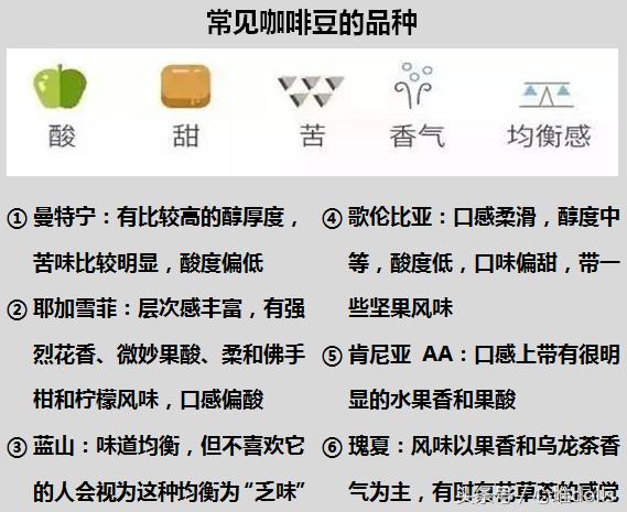生活必备篇——为自己手冲一杯好喝的咖啡,从清晨唤醒一天的活力