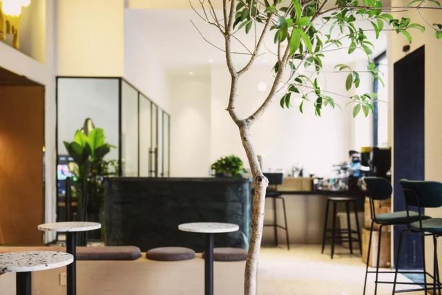 9.9元两杯咖啡?口感、品质简直不敢相信...