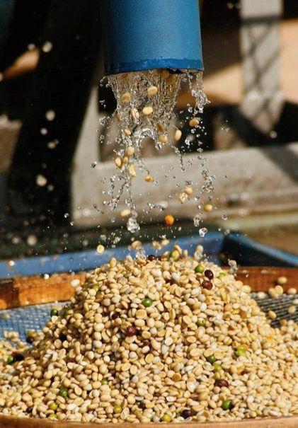 咖啡知识 | 如何训练咖啡味觉感官?