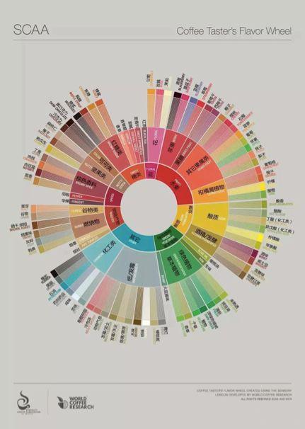 咖啡知识 | 如何训练咖啡味觉感官?