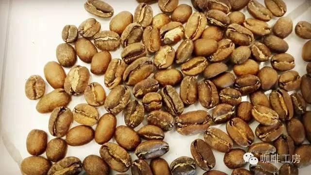 科普｜咖啡品种知识，单品咖啡的种类及口味介绍