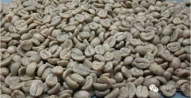 科普｜咖啡品种知识，单品咖啡的种类及口味介绍