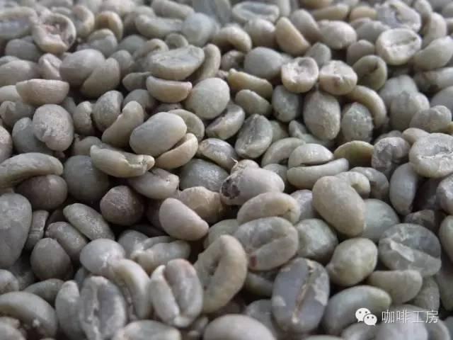 科普｜咖啡品种知识，单品咖啡的种类及口味介绍