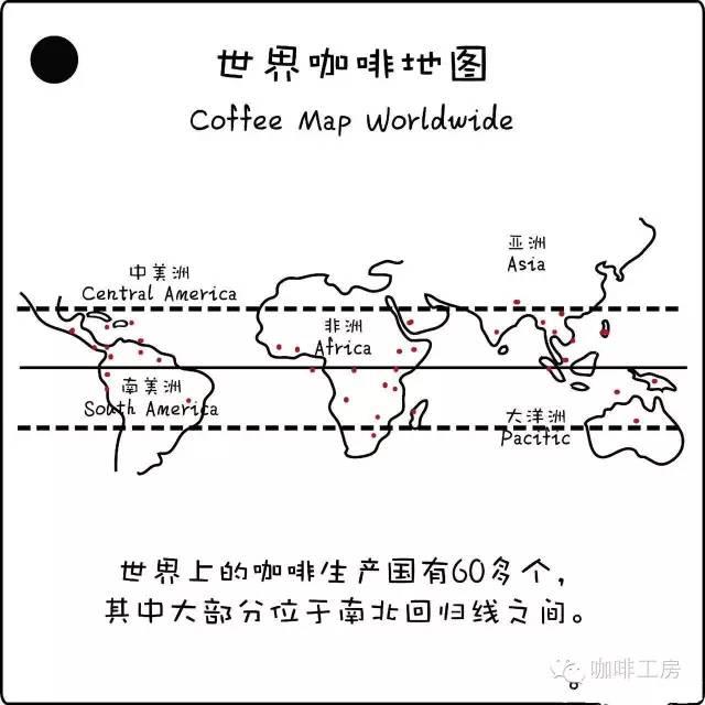 科普｜咖啡品种知识，单品咖啡的种类及口味介绍