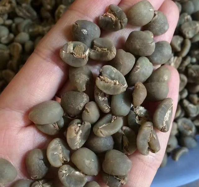 科普｜咖啡品种知识，单品咖啡的种类及口味介绍