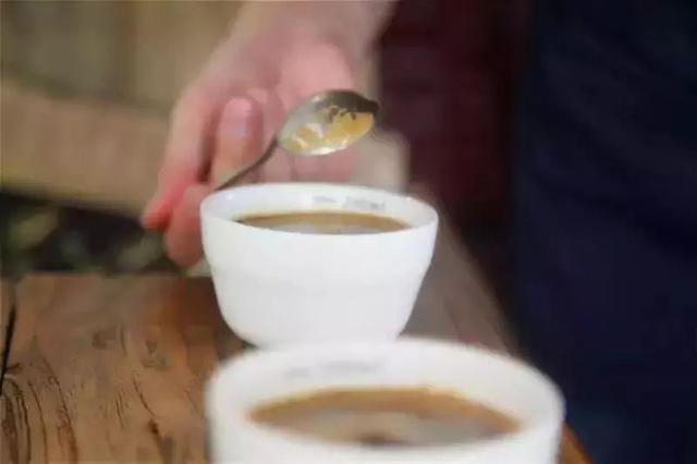 咖啡冷知识｜为什么咖啡闻起来比喝起来更香？