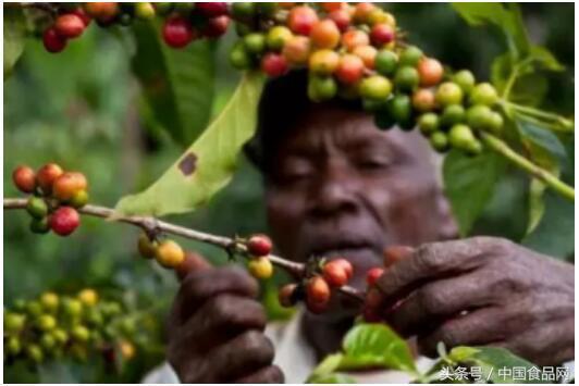 99%的人不知道影响咖啡口感的因素有这些……