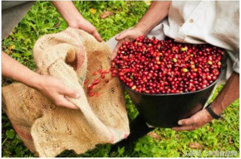 99%的人不知道影响咖啡口感的因素有这些……