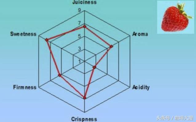 如何准确地描述咖啡的风味和口感