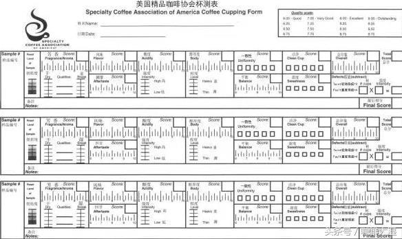 如何准确地描述咖啡的风味和口感