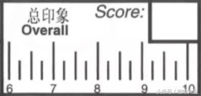 如何准确地描述咖啡的风味和口感