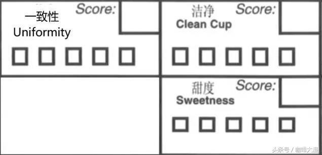 如何准确地描述咖啡的风味和口感