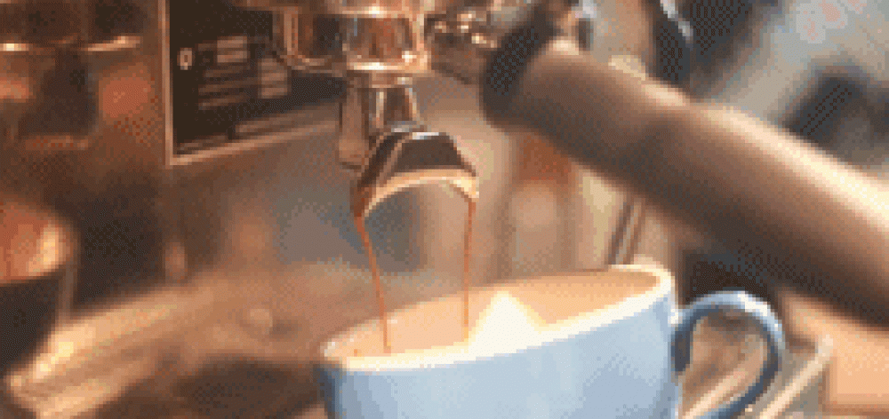 每次去星巴克只点拿铁真的low爆了！手把手教你点咖啡