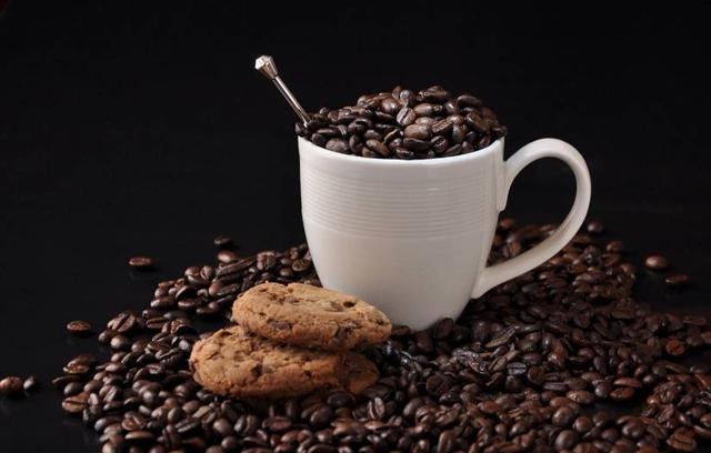 探秘泡杯好咖啡的诀窍