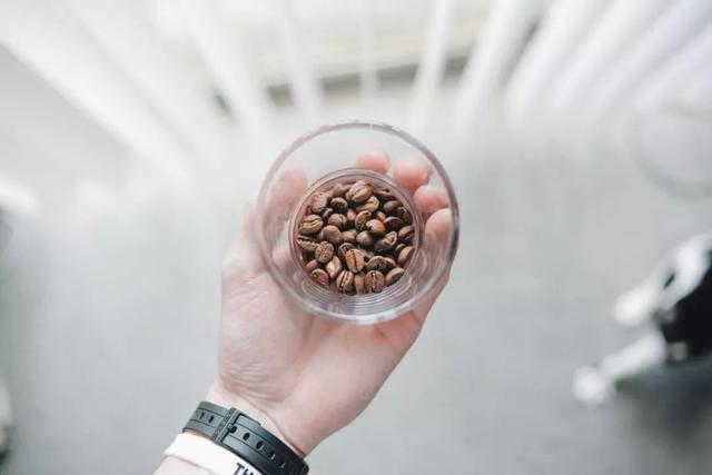 给新手的冲煮入门指南——如何在家冲煮一杯令人满意的咖啡