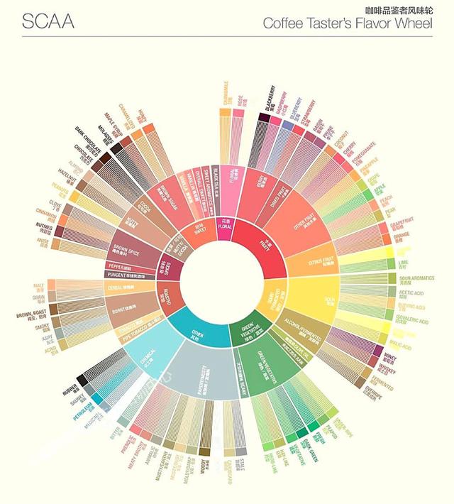 让每一杯咖啡都好喝的秘诀,用科学泡咖啡