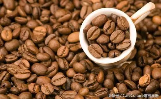 5大招让你在家中泡出完美咖啡!