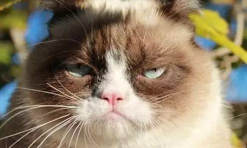 永不会洒的咖啡杯,防烫防漏,可重复N次使用