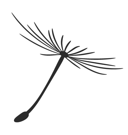 钟薛高、三顿半,2019年走红的新品牌你认识吗?| 睡前聊一会儿