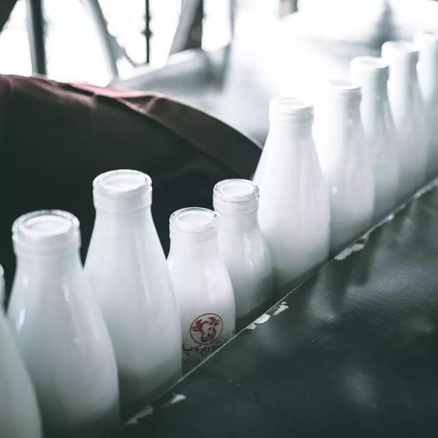 牛奶的加工处理法也会影响奶咖?哪一种牛奶比较适合跟咖啡搭配?