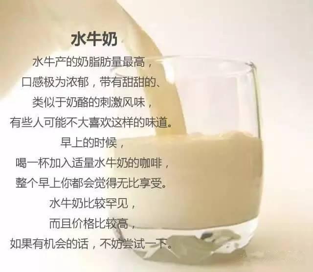 你用什么牛奶做你的那杯卡布和拿铁？咖啡牛奶的比例？