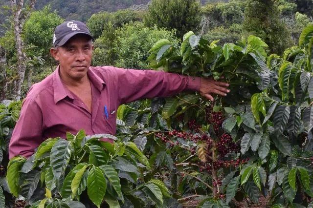 「新手攻略」入门新手如何买到最好的咖啡豆？