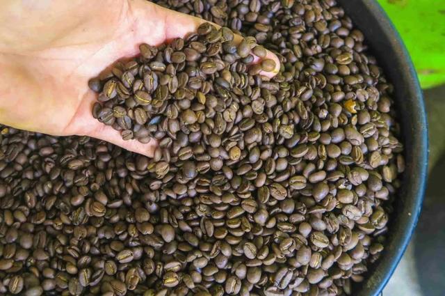 「新手攻略」入门新手如何买到最好的咖啡豆？