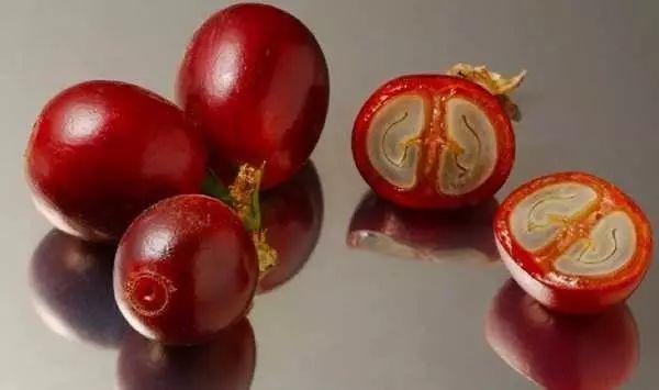 知识大全 | 咖啡新手常见25大问题解答