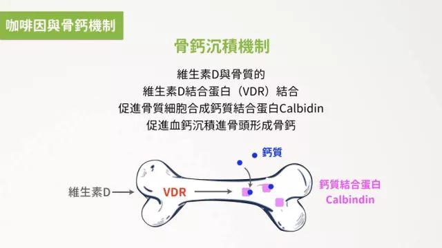 知识大全 | 咖啡新手常见25大问题解答