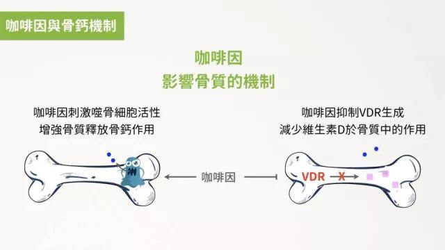 知识大全 | 咖啡新手常见25大问题解答
