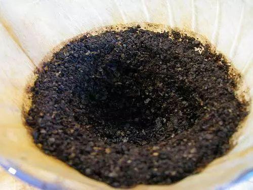 手冲注水大小不知如何拿捏？看看这三大技巧